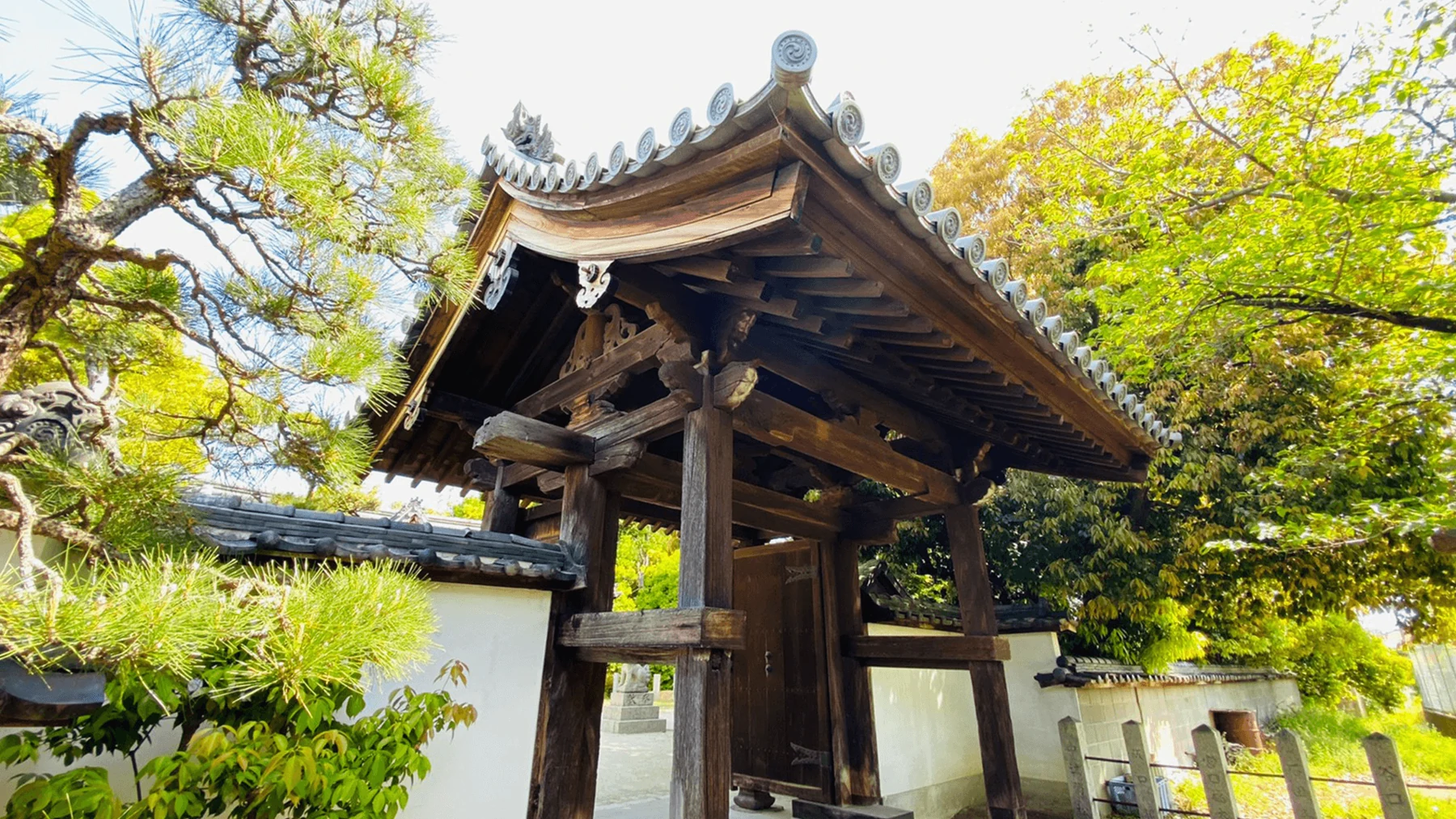 木漏れ日の神門